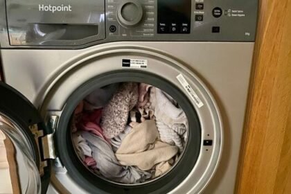 67p Laundry Hack Stops Lint and Hair from Clinging to Clothes