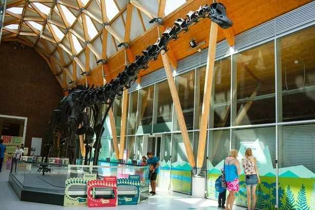 Iconic Dinosaur Exhibit Extended at Coventry Museum After 500K Visits