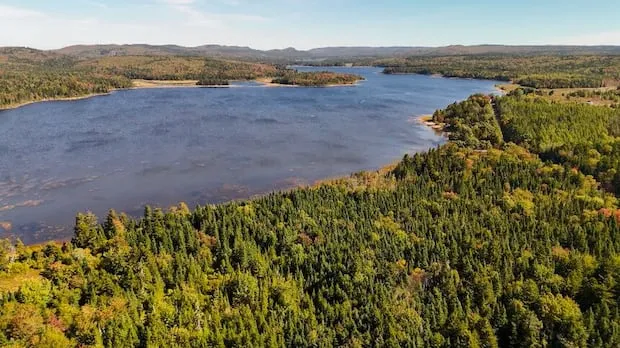 Saint John Dredges Lakes to Prevent Water Shortage After Drought