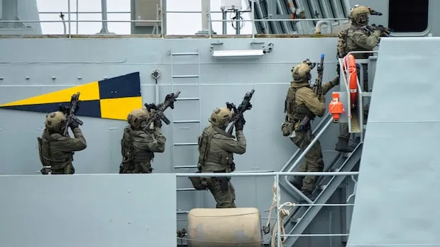 Canada Pushes NATO to Make Arctic Sentry Initiative Permanent