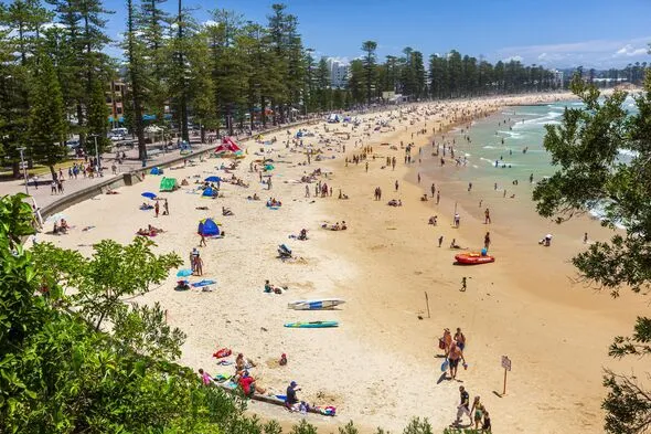 Sydney Bikini Ban on Beach Bus Sparks Public Fury Sydney Bikini Ban on Beach Bus Sparks Public Fury