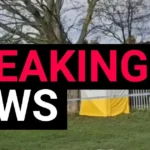 Teen Girl Hospitalized After Sex Assault in Romford Park