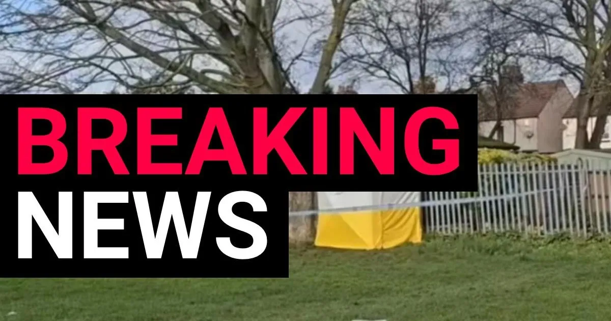 Teen Girl Hospitalized After Sex Assault in Romford Park