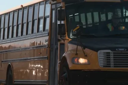 Dense Fog Cancels School Buses in Essex, Sarnia-Lambton, Chatham-Kent