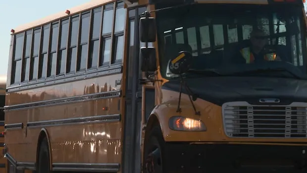 Dense Fog Cancels School Buses in Essex, Sarnia-Lambton, Chatham-Kent