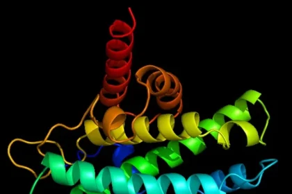 Ribo-STAMP Tech Maps Protein Production in Single Brain Cells