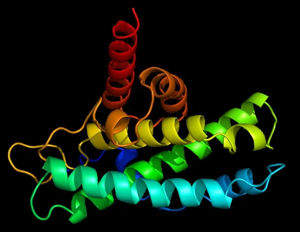 Ribo-STAMP Tech Maps Protein Production in Single Brain Cells Ribo-STAMP Tech Maps Protein Production in Single Brain Cells