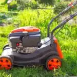 Mid-March 2026: Best Time for First UK Lawn Mow