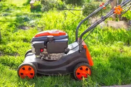 Mid-March 2026: Best Time for First UK Lawn Mow