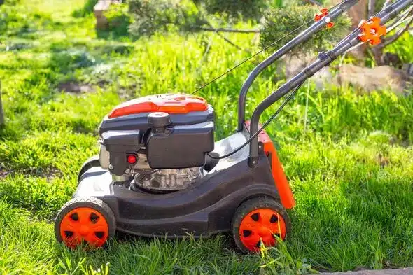 Mid-March 2026: Best Time for First UK Lawn Mow