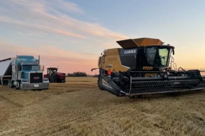 Alberta Farmers Build Resilience Despite Looming Tariff Relief