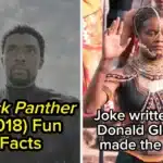 21 Mind-Blowing Black Panther Facts That Change Everything