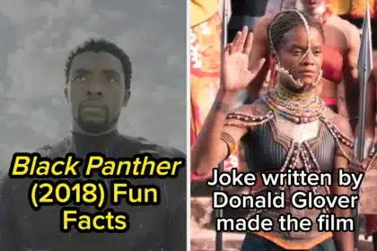 21 Mind-Blowing Black Panther Facts That Change Everything