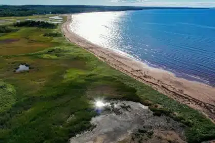 Nova Scotia’s OECM Land Protection Shift Sparks Conservation Concerns