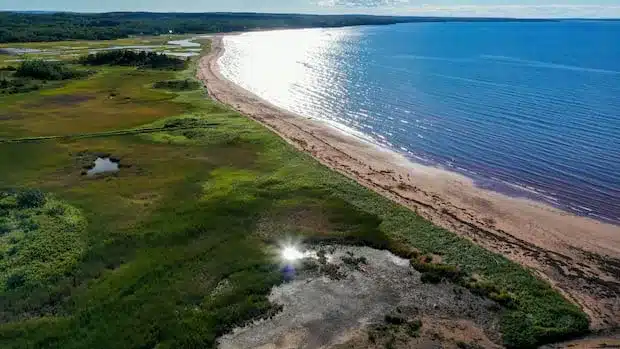 Nova Scotia’s OECM Land Protection Shift Sparks Conservation Concerns Nova Scotia’s OECM Land Protection Shift Sparks Conservation Concerns