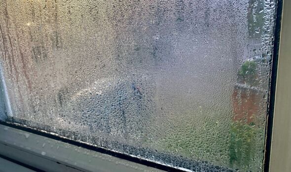 Tested: 15-Minute Daily Habit Clears Window Condensation Fast