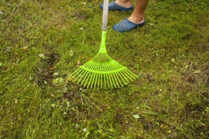 Three Key February Gardening Tasks for Vibrant Spring Blooms