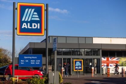 Aldi’s £3 Building Block Flowers Offer Blooming Bargains for DIY Decor