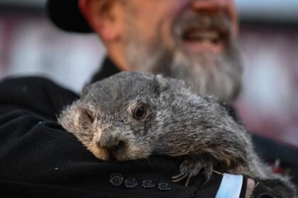 Groundhog Day History and Punxsutawney Phil’s 2026 Prediction