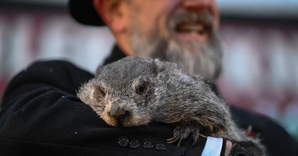 Groundhog Day History and Punxsutawney Phil’s 2026 Prediction