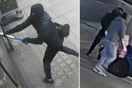 Seven-Man Gang Steals £146k in London Luxury Store Smash-and-Grabs