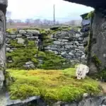 Nature Reclaims Abandoned Fells Farmstead Amid Orchard Revival