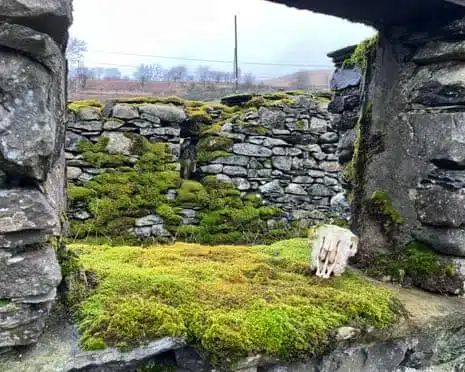 Nature Reclaims Abandoned Fells Farmstead Amid Orchard Revival Nature Reclaims Abandoned Fells Farmstead Amid Orchard Revival