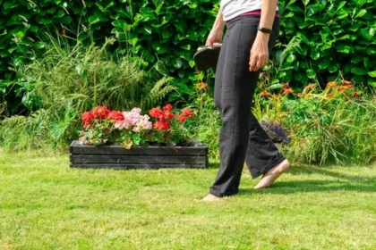 Early March Lawn Care: 6 Steps for a Lush Spring Lawn