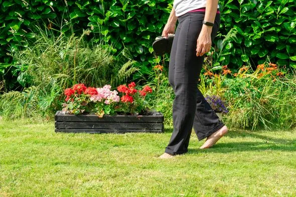 Early March Lawn Care: 6 Steps for a Lush Spring Lawn