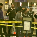 Smash-and-Grab Robbery Hits Michael Hill at Georgian Mall