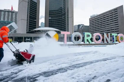 Quality Council Debates: Boosting Local Democracy in Canada and NZ