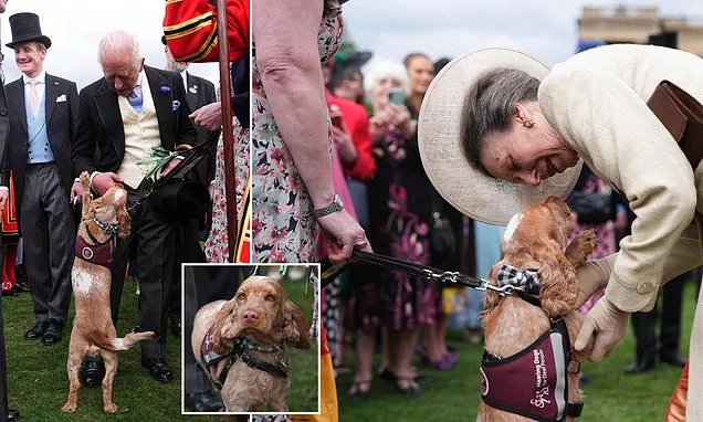 Hearing Dog Vegas Charms Royals at Buckingham Palace Party Hearing Dog Vegas Charms Royals at Buckingham Palace Party