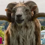 The Sheep Detectives Review: Star Sheep Solve Murder Mystery (3 Stars)