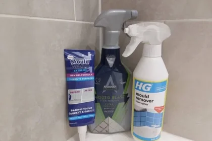HG Mould Spray Tops Grout Test vs Astonish and Mould Magic
