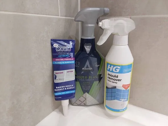 HG Mould Spray Tops Grout Test vs Astonish and Mould Magic