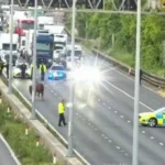 Horses Block M4 in Gloucestershire, Sparking 30-Minute Rush Hour Delays